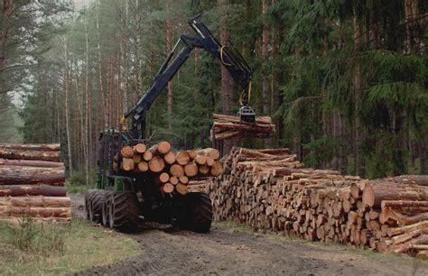 Scottish Forestry .